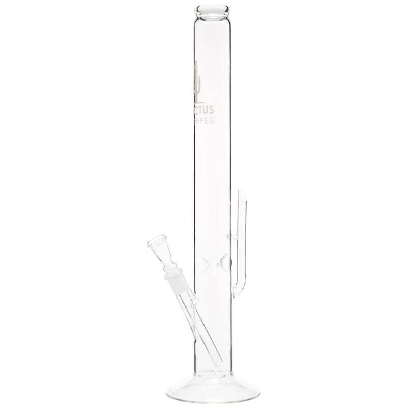 Cactus Fine Pipes Zylinder-Bong | Klar